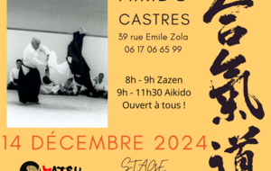 Samedi Aikido Décembre 2024